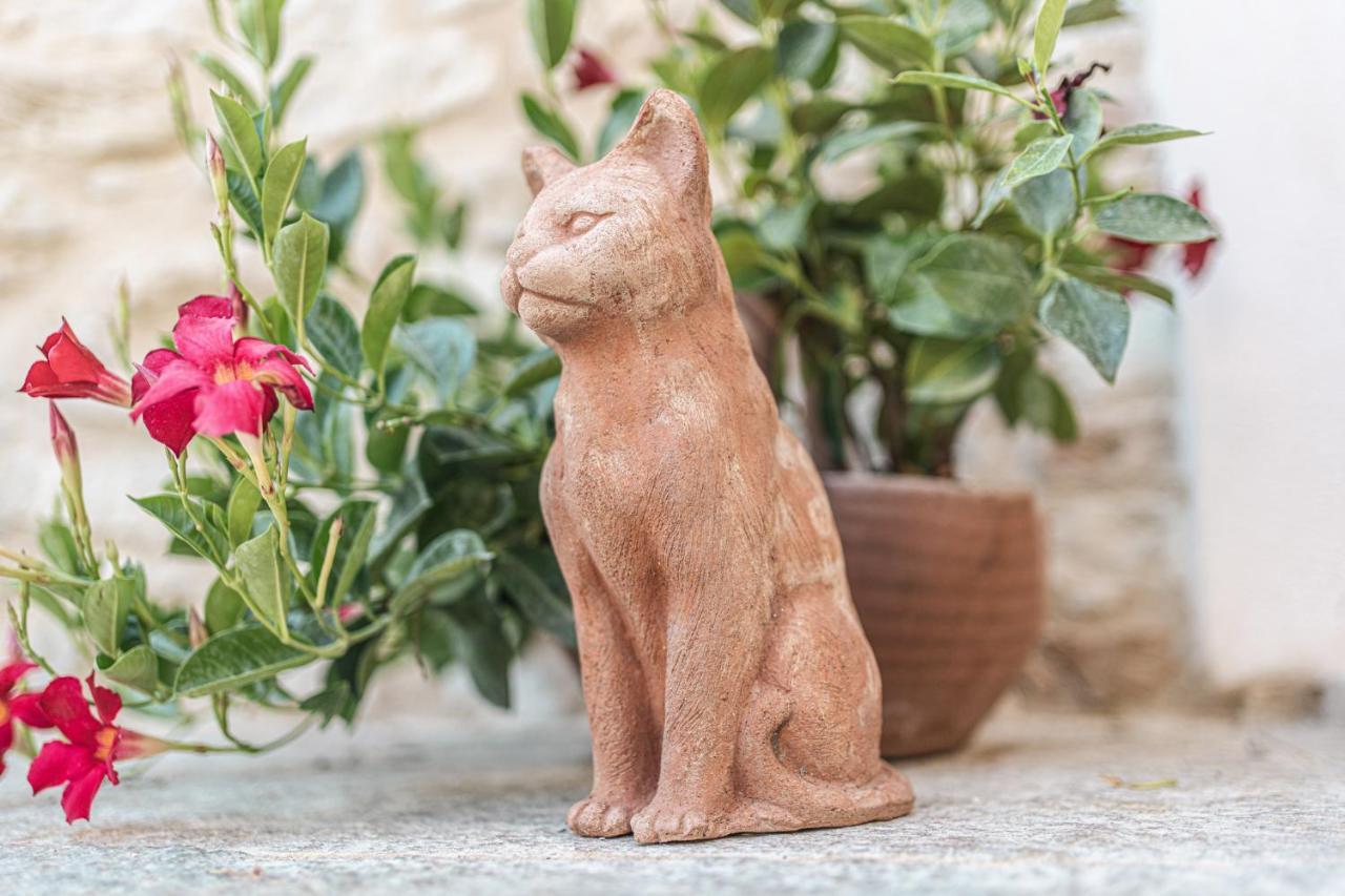 Borgo Dei Gatti Albergo Diffuso & Spa Golferenzo Exteriör bild