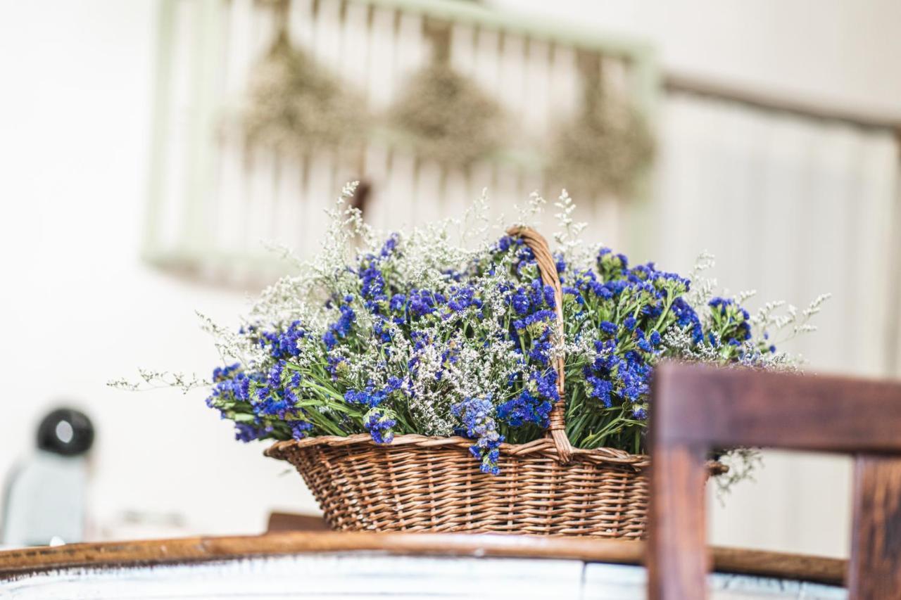 Borgo Dei Gatti Albergo Diffuso & Spa Golferenzo Exteriör bild