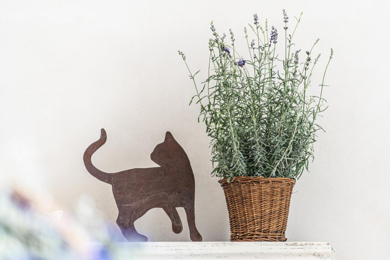 Borgo Dei Gatti Albergo Diffuso & Spa Golferenzo Exteriör bild